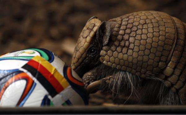 2014-06-13t102515z_1216498770_gm1ea6d1eel01_rtrmadp_3_brazil-worldcup_reuters