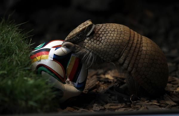 2014-06-13t102528z_1249783991_gm1ea6d1f0t01_rtrmadp_3_brazil-worldcup_reuters