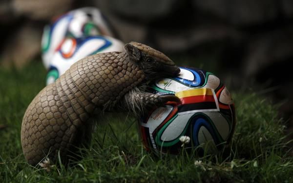 2014-06-13t102525z_547136845_gm1ea6d1ezr01_rtrmadp_3_brazil-worldcup_reuters