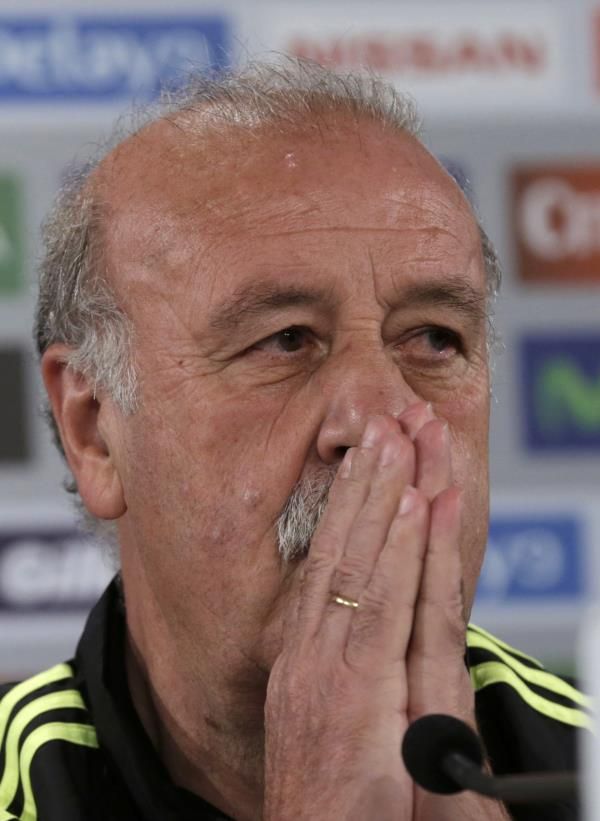 فيسنتي ديل بوسكي