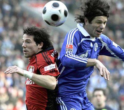 2008-02-23-00000301264469