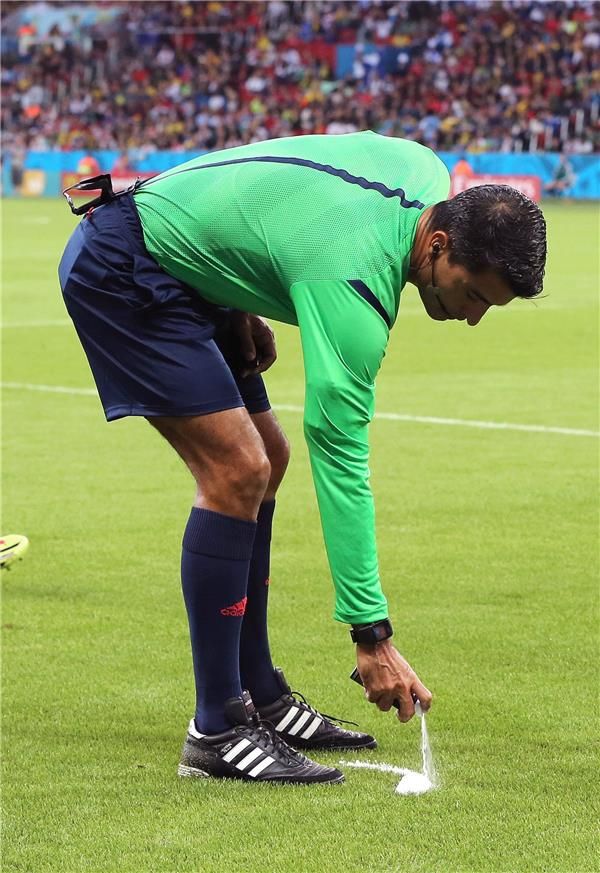 الحكم البرازيلي ساندرو ريكي