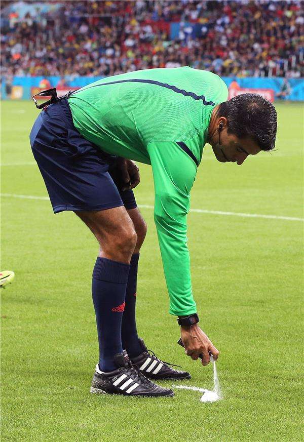 الحكم البرازيلي ساندرو ريكي