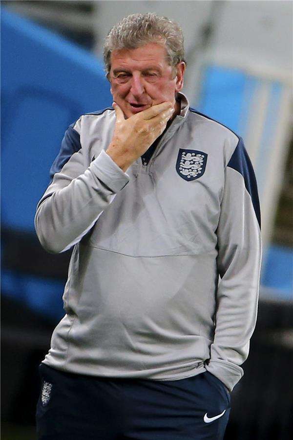 روي هودجسون