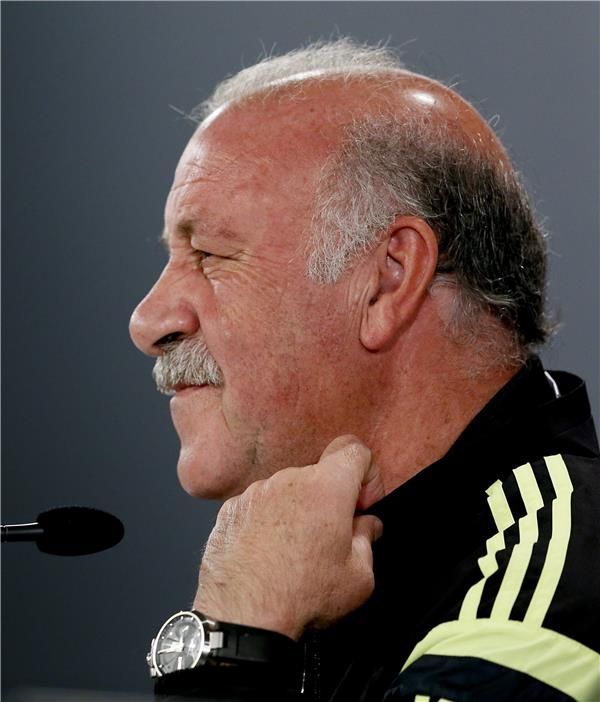  فيسنتي دل بوسكي