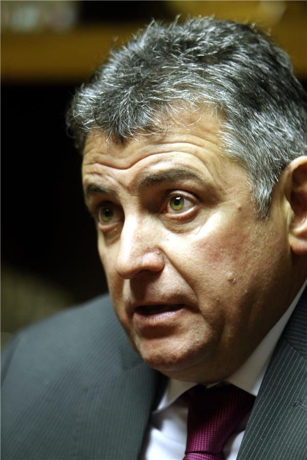  ويلمار فالديز