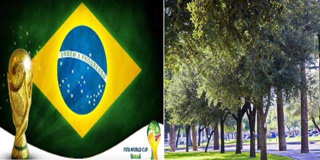 f46ba77aaf5fb1dc7691a6249adfe456_xl