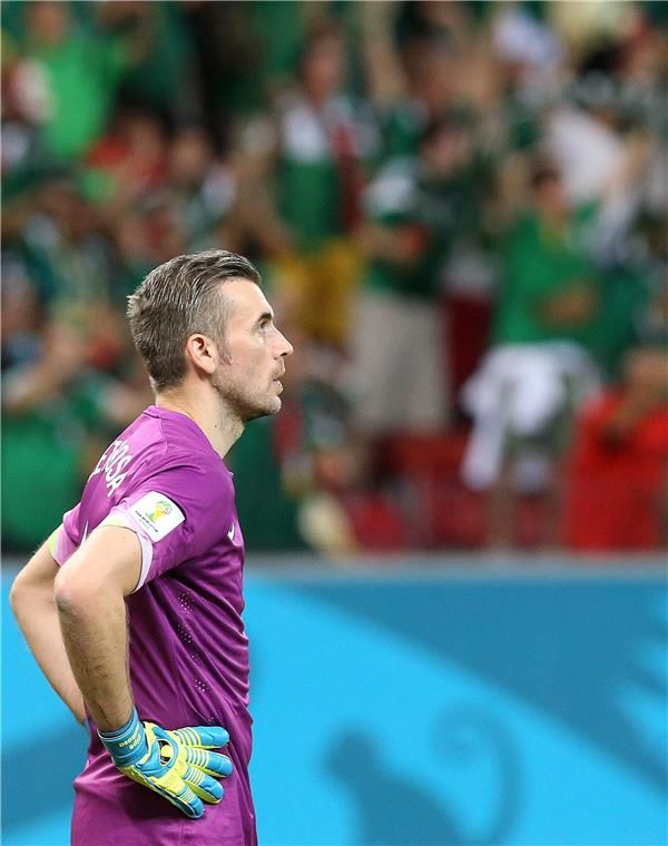  ستيبي بليتيكوسا