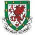 wales_league