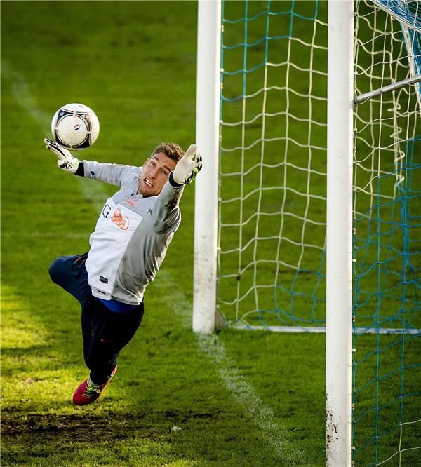 الهولندي مارتن ستكلنبرج