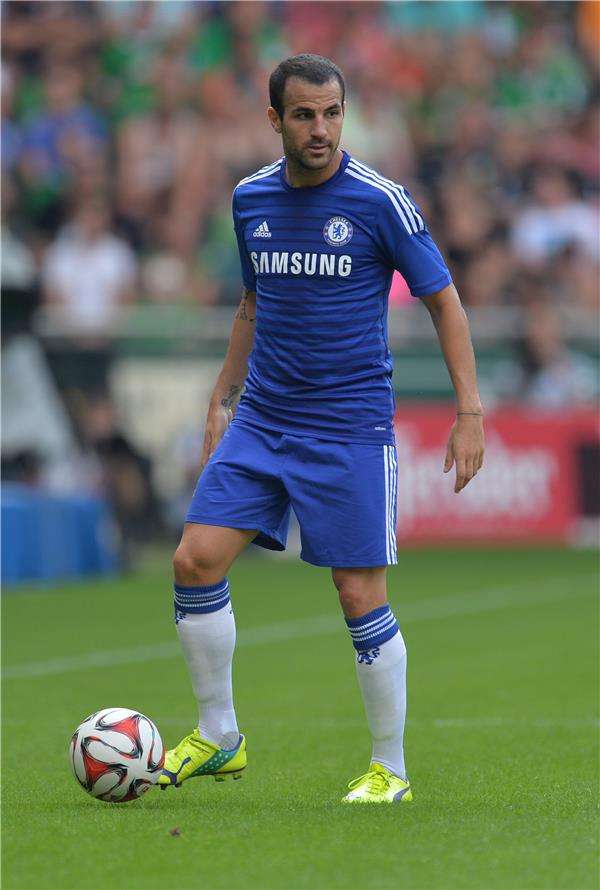 سيسك فابريجاس