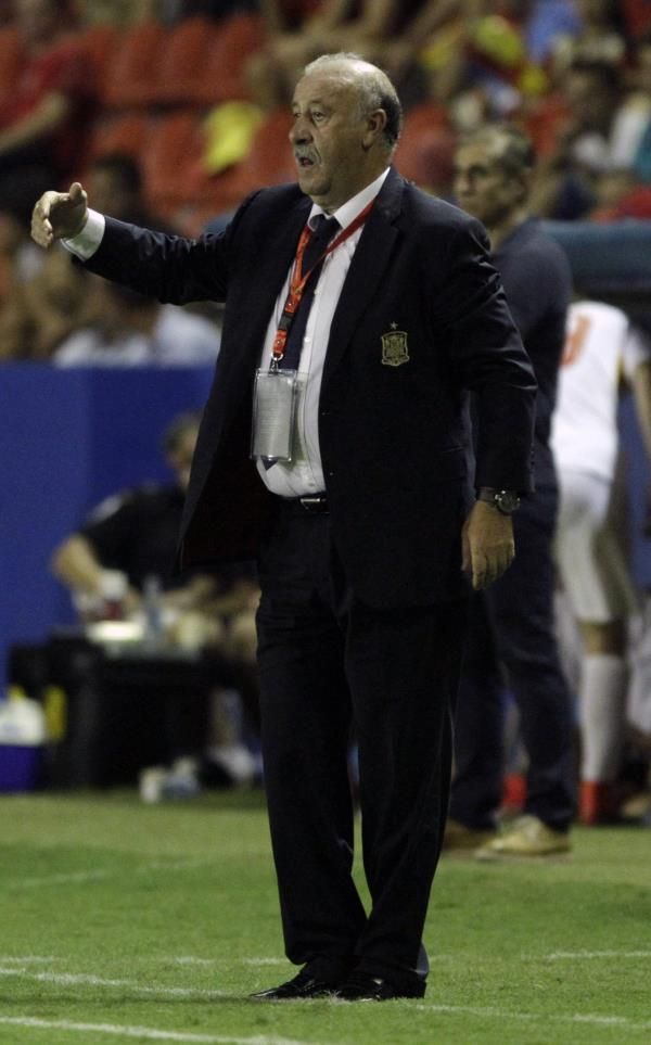 فيسنتي ديل بوسكي