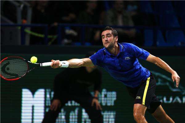 مارين شيليتش