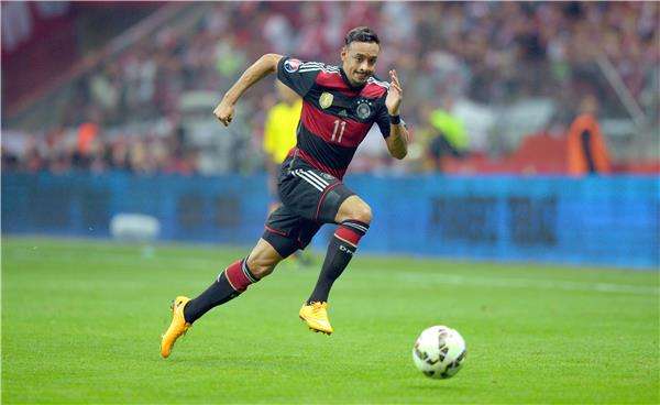 كريم بلعربي