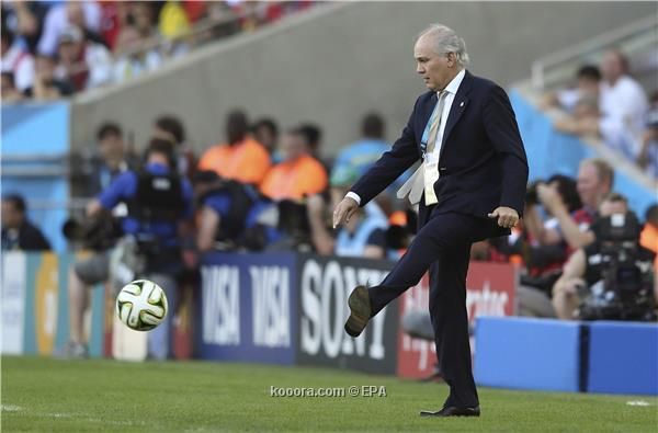 sabella