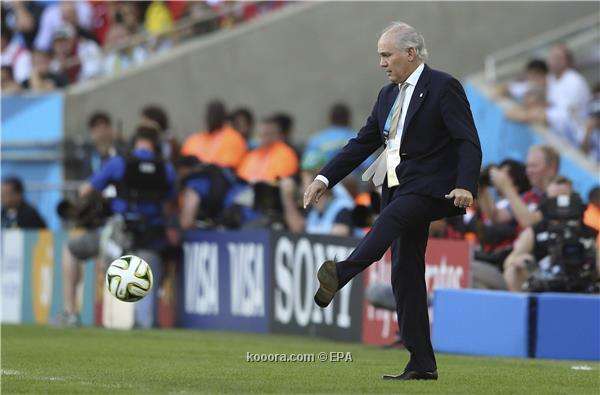 sabella