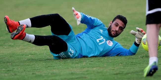   أحمد نصر الشناوي