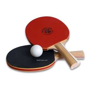 ping-pong-paddle-193484-300x300