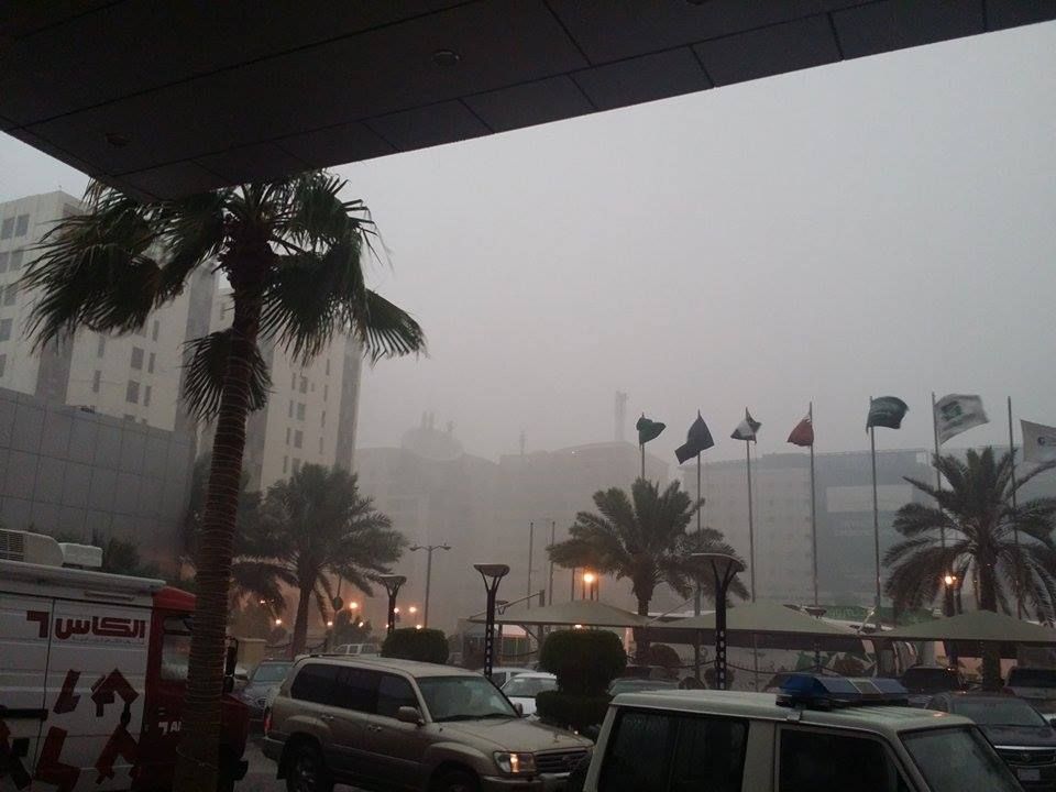 10815785_10154934562470691_3831351_n