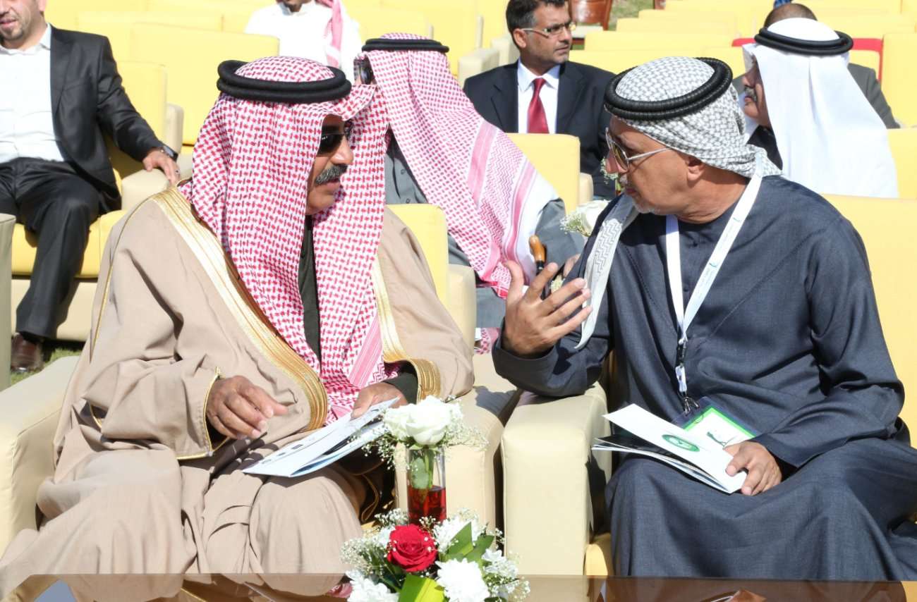 000-8961401417889552675