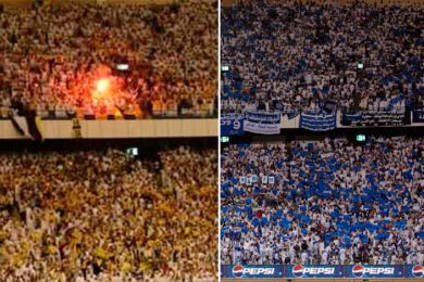 fans
