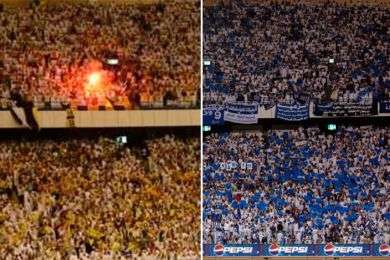 fans
