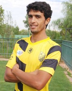 شمس الدين الشطيبي 