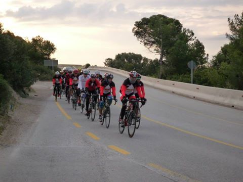 544944_917954214905341_1766302942995142334_n