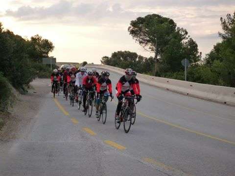 544944_917954214905341_1766302942995142334_n