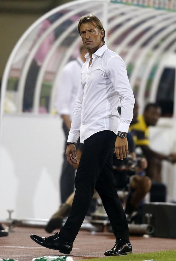 هيرفي رينارد