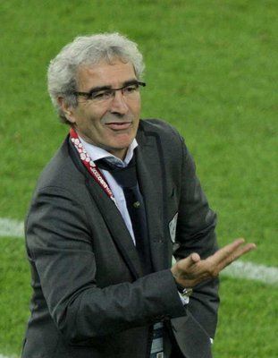 ريمون دومينيك 