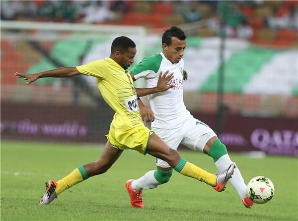 محمد عبد الشافي 