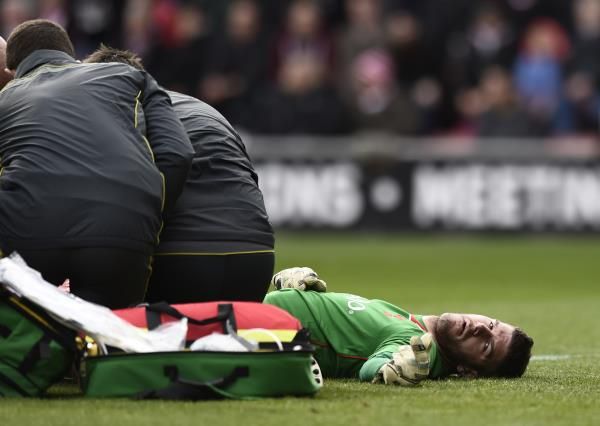 فريزر فورستر