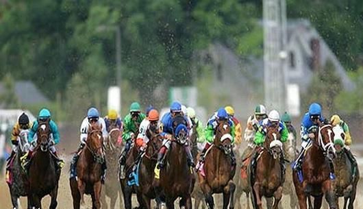 d659a776123a78e67a0a3c5c2bd0f15b_w530_h0