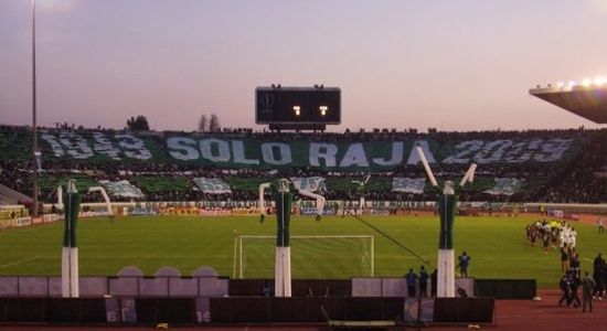 tifo-raja