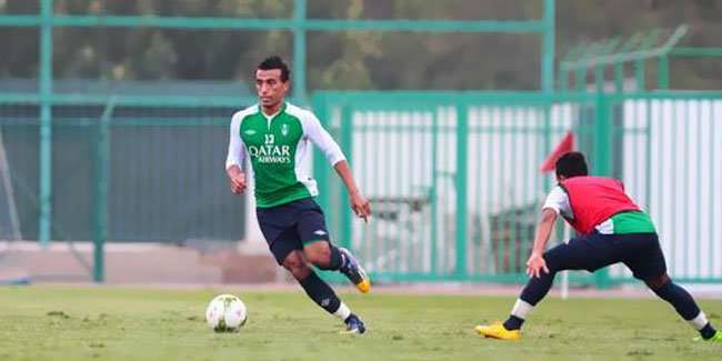 محمد عبدالشافي