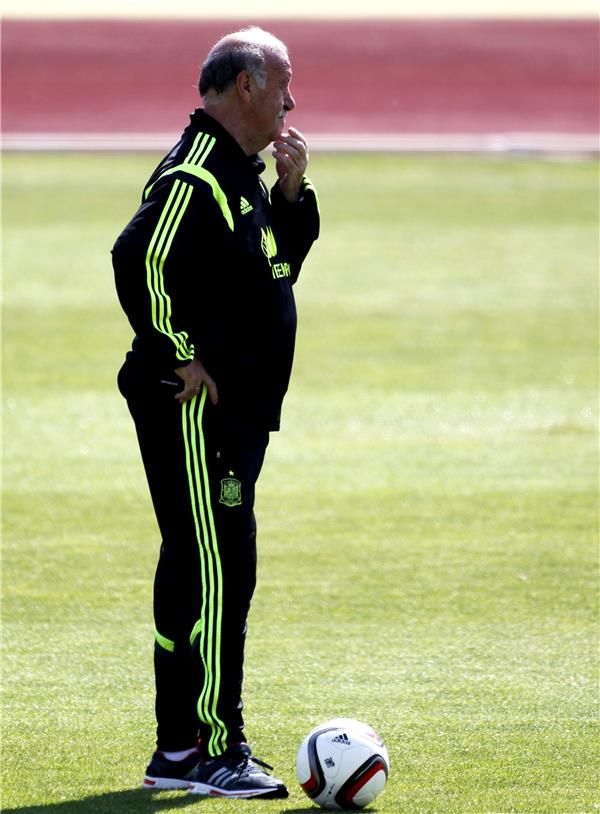 فيسنتي ديل بوسكي 