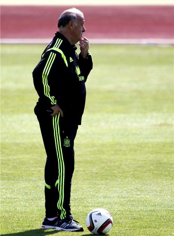 فيسنتي ديل بوسكي 