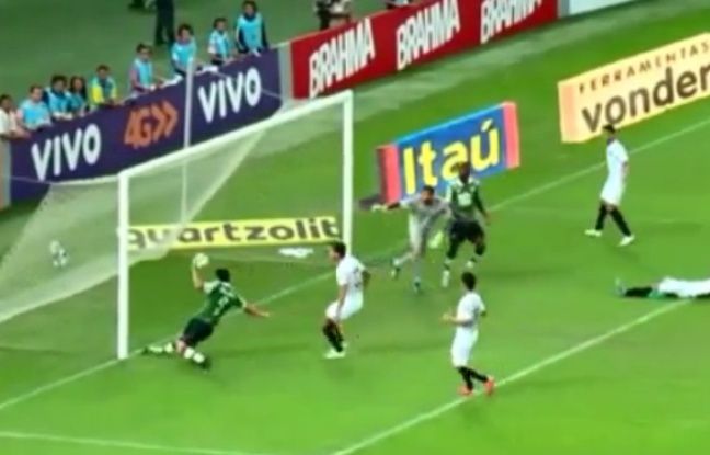 648x415_fred-rate-but-tout-fait-lors-fluminense-santos-2-juillet-2015