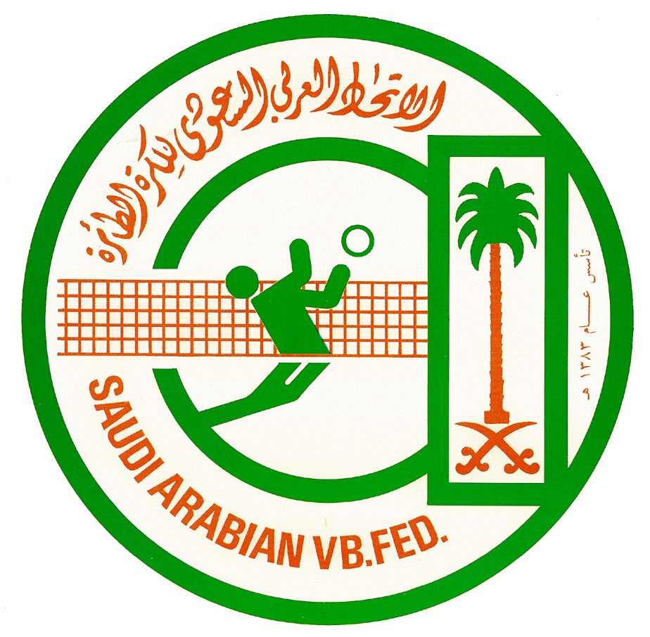 saudivb_pic