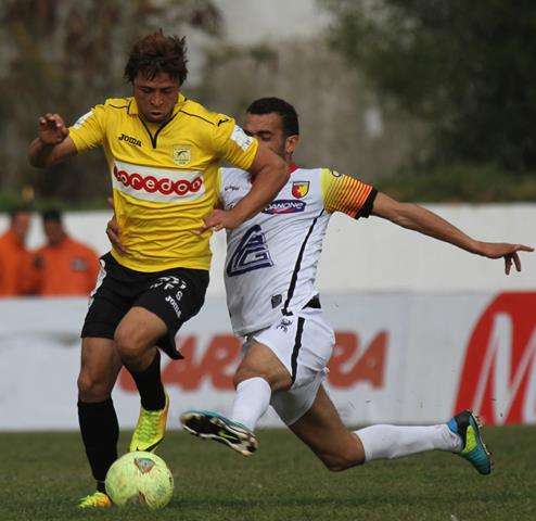 حسان الحرباوي