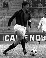cesar
