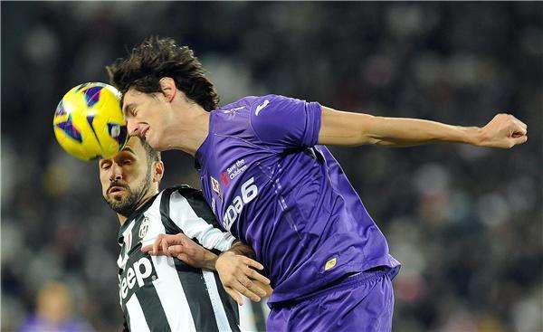 ستيفان سافيتش 