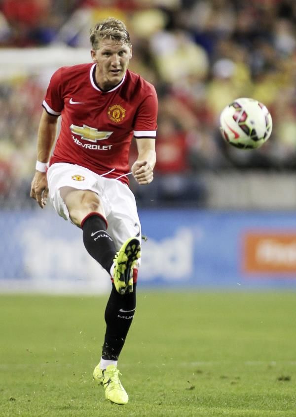 شفاينشتايجر