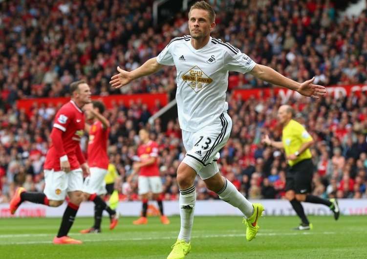 ccccccccccccccccccvbgrt