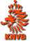 dutch_league