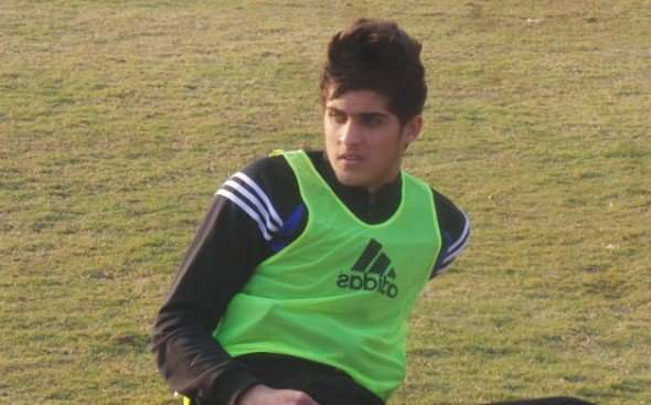 3898694471425179753--590x367-1