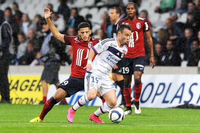 l-ol-touche-du-bois-ca-n0651