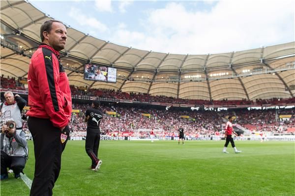 اليكساندر زونيغر