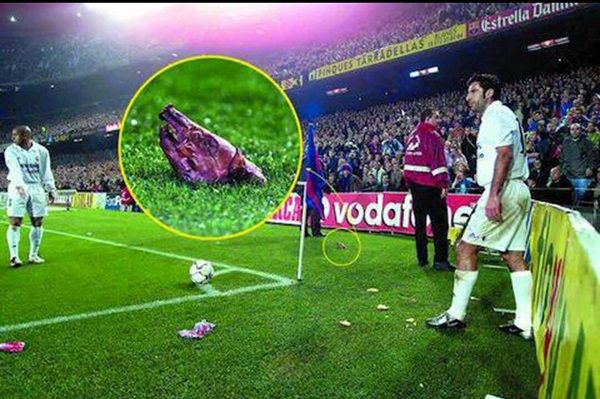 retretertrettttttttttttt